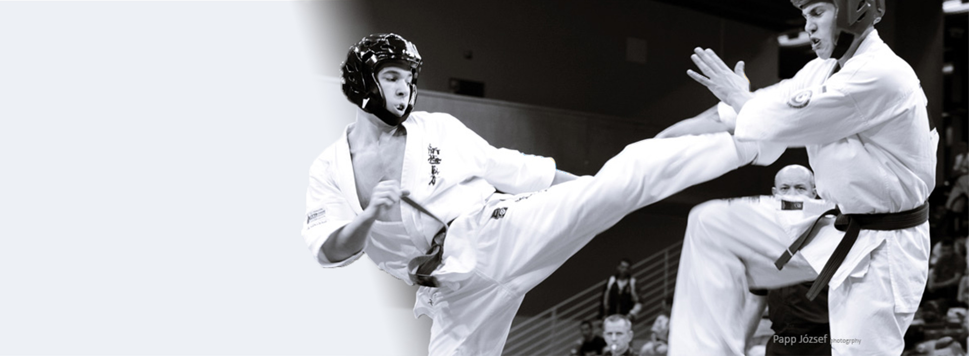 title_696f70a0cf44120240494871768911008