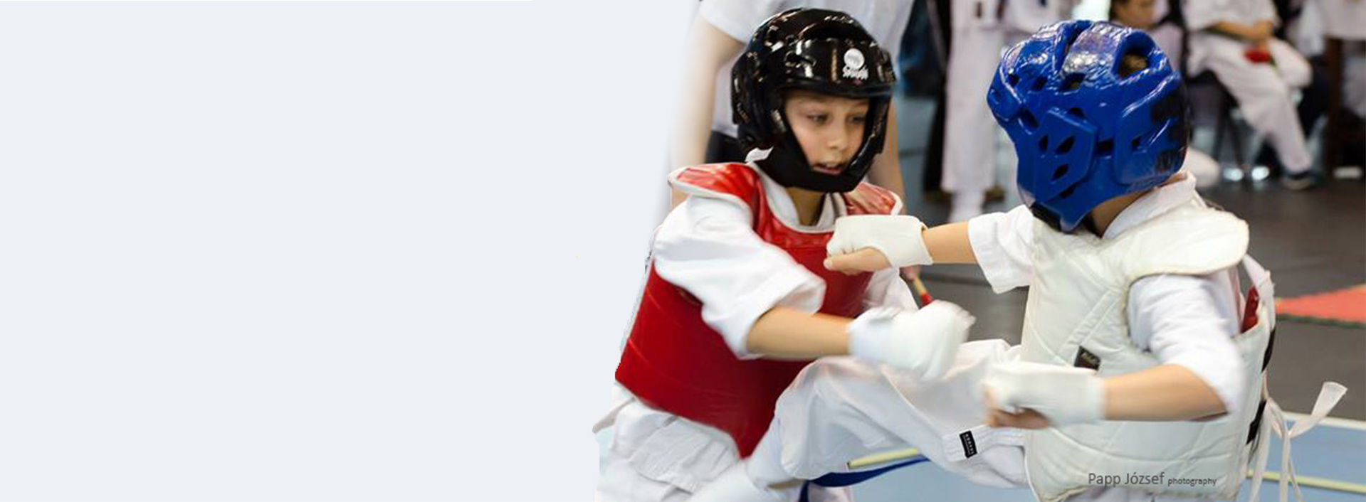 title_696f70a0cf45a11437545871768911008